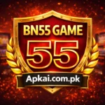 Bn55 Game