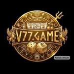 v77 game